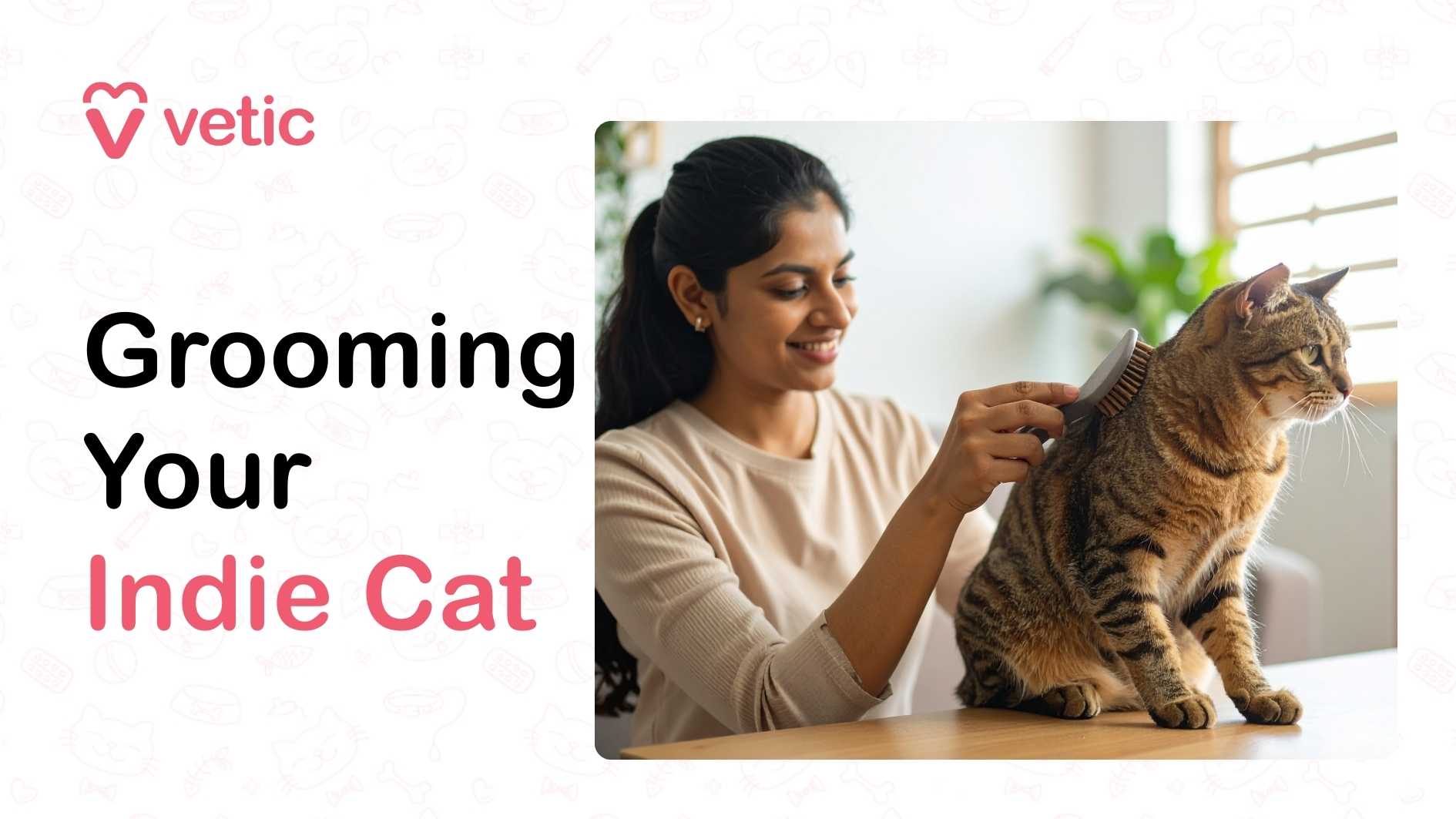 This image features a warm, candid moment of a woman grooming a tabby cat using a comb. She is smiling gently, and her posture suggests familiarity and care as she combs through the cat’s fur. The cat sits calmly on a table, appearing relaxed and cooperative, which reinforces the idea that cat grooming can be a positive experience when done with patience and trust. The background includes a window with blinds and a green plant, indicating a cozy home setting that adds to the sense of comfort and a cat grooming routine. On the left side of the image, the branding “vetic” is displayed above the text “Grooming Your Indie Cat,” suggesting that this visual is part of an educational or promotional campaign focused on grooming practices for Indian domestic cats.
