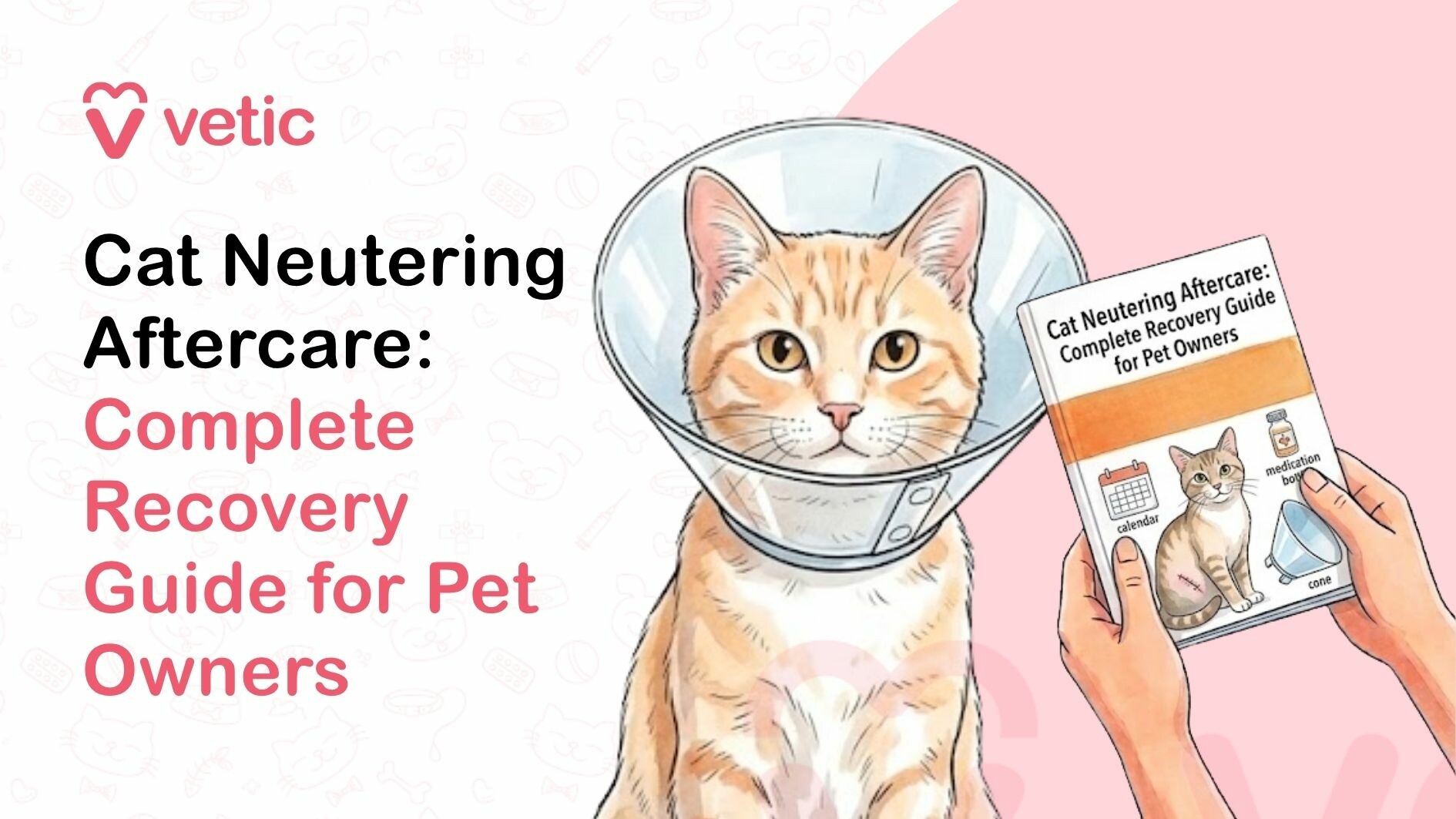 This image is a clean, professionally designed veterinary educational graphic focused on cat neutering aftercare and recovery guidance for pet owners. The layout follows a modern, minimalistic design style with a soft white background featuring faint pet-themed icons such as paw prints and animal-related symbols, combined with a pink accent area on the right side that adds visual balance and warmth. The overall aesthetic is consistent with pet healthcare branding, making the image suitable for veterinary websites, pet blogs, and informational resources aimed at educating cat owners about post-surgical care. On the left side of the image, bold and clearly legible text reads “Cat Neutering Aftercare: Complete Recovery Guide for Pet Owners.” The typography uses a combination of black and pink colors to highlight key phrases, with “Complete Recovery Guide for Pet Owners” emphasized in pink to draw attention. This structured text layout ensures readability and immediately communicates the purpose of the content, making it effective for search engine optimization (SEO) and user engagement. At the top-left corner, the “Vetic” logo is displayed along with a heart-shaped icon, indicating that the graphic is associated with a veterinary or pet healthcare brand. This branding adds credibility and trustworthiness, suggesting that the information provided is reliable and professionally curated. The consistent use of brand elements and color palette enhances recognition and aligns with modern digital content standards. The central visual element of the image is a light orange or ginger-colored domestic cat sitting upright and facing forward. The cat is wearing an Elizabethan collar, commonly known as a recovery cone or e-collar, which is used to prevent pets from licking or biting surgical wounds after procedures such as neutering or spaying. The cone is transparent with visible fasteners, and it surrounds the cat’s head, clearly indicating that the animal is in a post-operative recovery phase. The cat’s expression appears calm and neutral, suggesting a stable recovery condition rather than distress, which helps make the image reassuring for pet owners. To the right of the cat, there is an illustration of a pair of hands holding a booklet or guide titled “Cat Neutering Aftercare: Complete Recovery Guide for Pet Owners.” The booklet mirrors the main headline of the image, reinforcing the topic and creating a cohesive visual message. On the cover of the booklet, there is a small illustration of a cat with a visible surgical incision on its abdomen, indicating the neutering procedure. Alongside the cat illustration, there are small icons representing important aspects of aftercare, including a calendar (indicating recovery timeline and follow-up appointments), a medication bottle (representing prescribed medicines such as antibiotics or pain relief), and a cone (symbolizing the use of an e-collar to prevent wound interference). The image is designed to support educational content about post-neutering care in cats, which is a critical aspect of ensuring proper healing and preventing complications. Neutering, also known as castration in male cats, is a common surgical procedure performed to control reproduction, reduce behavioral issues, and improve overall health. After the surgery, proper aftercare is essential to ensure a smooth recovery process. This includes monitoring the surgical site for signs of infection, administering prescribed medications, restricting physical activity, maintaining hygiene, and ensuring that the cat does not lick or disturb the incision. From an SEO perspective, this image is highly relevant for search queries such as “cat neutering aftercare tips,” “how to care for a cat after neutering surgery,” “cat recovery after neuter operation,” “post neutering care for male cats,” and “cat surgery recovery guide.” The visual elements clearly communicate the topic, making it effective as a featured image or thumbnail for blog posts, articles, and educational content targeting pet owners seeking guidance on post-surgical care. The inclusion of the booklet and hands adds a human interaction element, suggesting that the information is practical, easy to follow, and intended for everyday pet owners. It implies that the viewer is being guided through a structured recovery plan, which may include step-by-step instructions, timelines, and important precautions. This approach helps build confidence among pet owners who may be anxious about caring for their cat after surgery. The use of a calm and healthy-looking cat wearing a recovery cone also plays an important role in reassuring viewers. It normalizes the post-surgery experience and reduces fear or uncertainty associated with veterinary procedures. By presenting the recovery process in a clean and non-disturbing manner, the image makes the topic more approachable and less intimidating. Overall, this image functions as a high-quality veterinary infographic designed to educate and guide cat owners through the aftercare process following neutering surgery. It combines clear typography, professional branding, relevant visual elements, and a user-friendly layout to create an effective educational resource. The graphic is ideal for use in pet care blogs, veterinary websites, social media content, and online guides focused on cat health, surgery recovery, and responsible pet ownership.