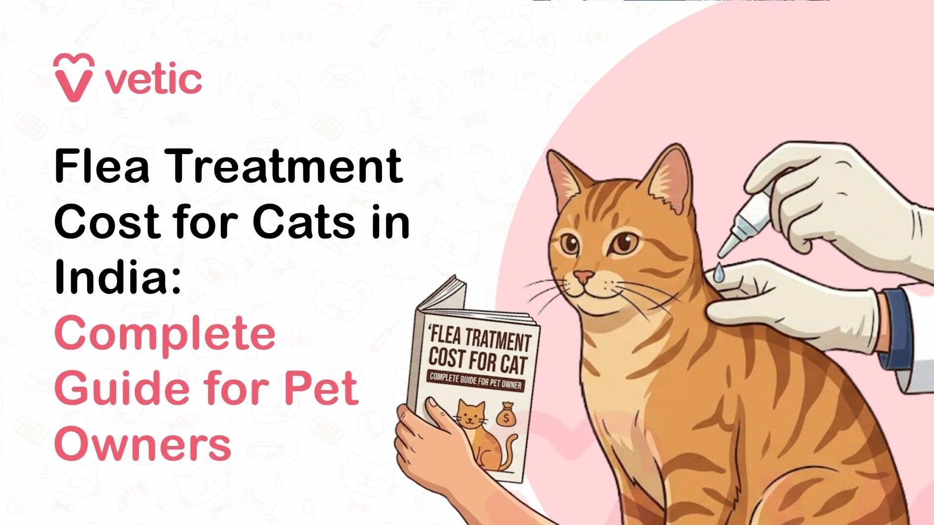 This image is a professionally designed veterinary-themed digital illustration focused on educating pet owners about the cost of flea treatment for cats in India. The layout uses a clean, modern design with a soft pastel color palette. The background is light off-white with faint pet-themed icons such as paw prints, bones, and veterinary symbols, adding subtle visual texture without distracting from the main content. At the top left corner, the branding “Vetic” appears alongside a pink heart-shaped logo, indicating a pet healthcare or veterinary service provider. Below it, a bold headline reads: “Flea Treatment Cost for Cats in India: Complete Guide for Pet Owners.” The typography is clear and sans-serif, with “Flea Treatment Cost for Cats in India” in black and “Complete Guide for Pet Owners” highlighted in pink for emphasis. On the right side, an orange tabby cat with distinct darker stripes is shown sitting calmly. The cat appears healthy and relaxed, facing slightly toward the left. Next to the cat, a pair of gloved hands is administering a topical flea treatment using a dropper. A visible drop of liquid is about to be applied to the back of the cat’s neck, illustrating a common veterinary method for flea control. In front of the cat, a hand holds a booklet titled “Flea Treatment Cost for Cat: Complete Guide for Pet Owner.” The booklet includes simple graphics such as a cat icon and a money symbol, reinforcing the theme of pet care and cost awareness. The right background features a soft pink curved shape that separates the illustration from the text, creating a balanced and visually appealing composition. The overall design is clean, informative, and suitable for educational content about pet healthcare. This image is ideal for use in blog posts, veterinary websites, and social media content aimed at helping cat owners understand flea treatment options and costs in India. It communicates both practical care information and affordability considerations in a friendly, approachable way.
